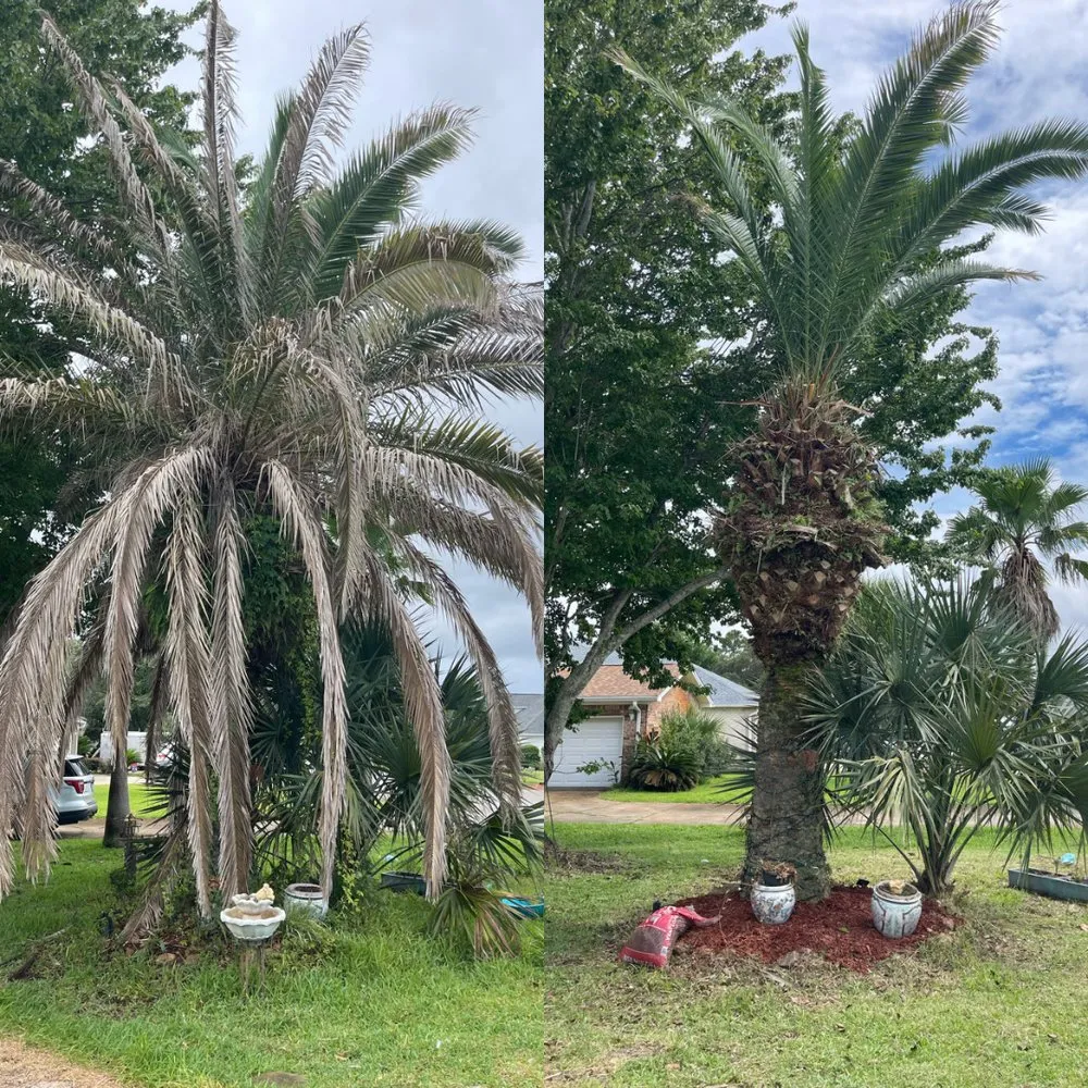 Local garden landscaping for year-round maintenance across Gulf Breeze, FL - Yard Busters