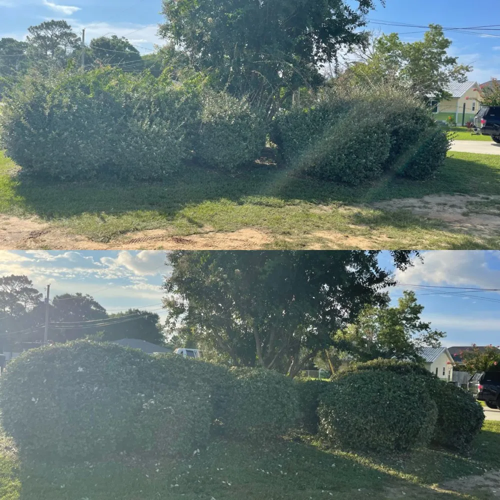 Top-rated garden landscaping in Gulf Breeze, FL by Yard Busters