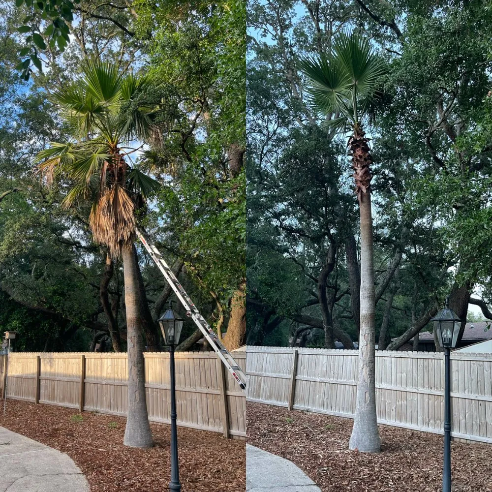 Custom landscape installation in Gulf Breeze, FL by Yard Busters