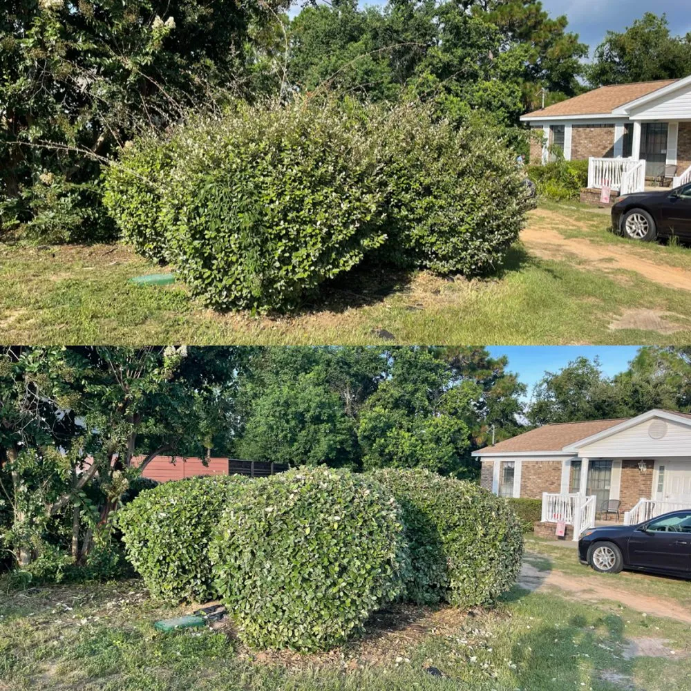 Affordable yard cleanup service in Gulf Breeze, FL - Yard Busters