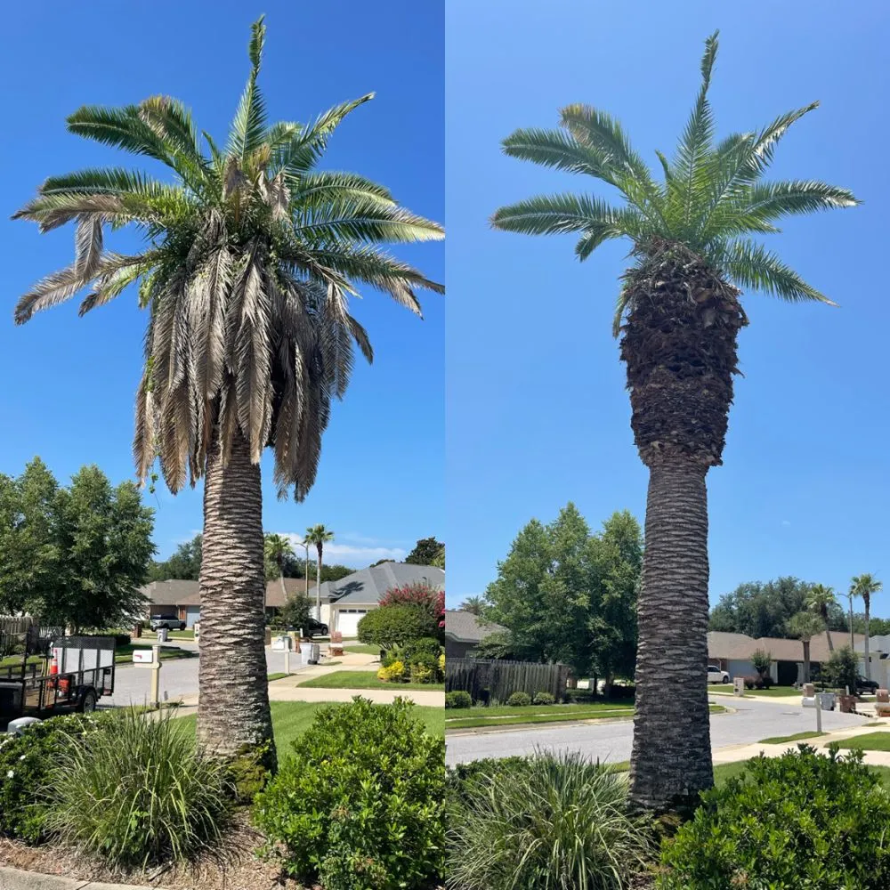 Expert landscape installation in Gulf Breeze, FL - Yard Busters