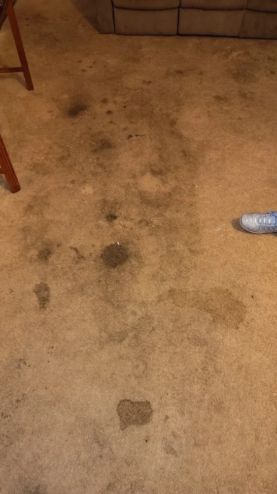 Trusted landscape installation for homes across Ladson, SC - Yard Busters