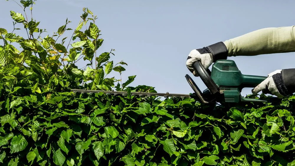 Trusted lawn mowing service for year-round maintenance across Navarre, FL - Yard Butler Landscaping