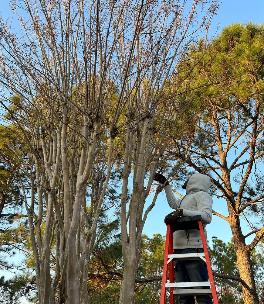 Professional lawn mowing service in Navarre, FL - Yard Butler Landscaping