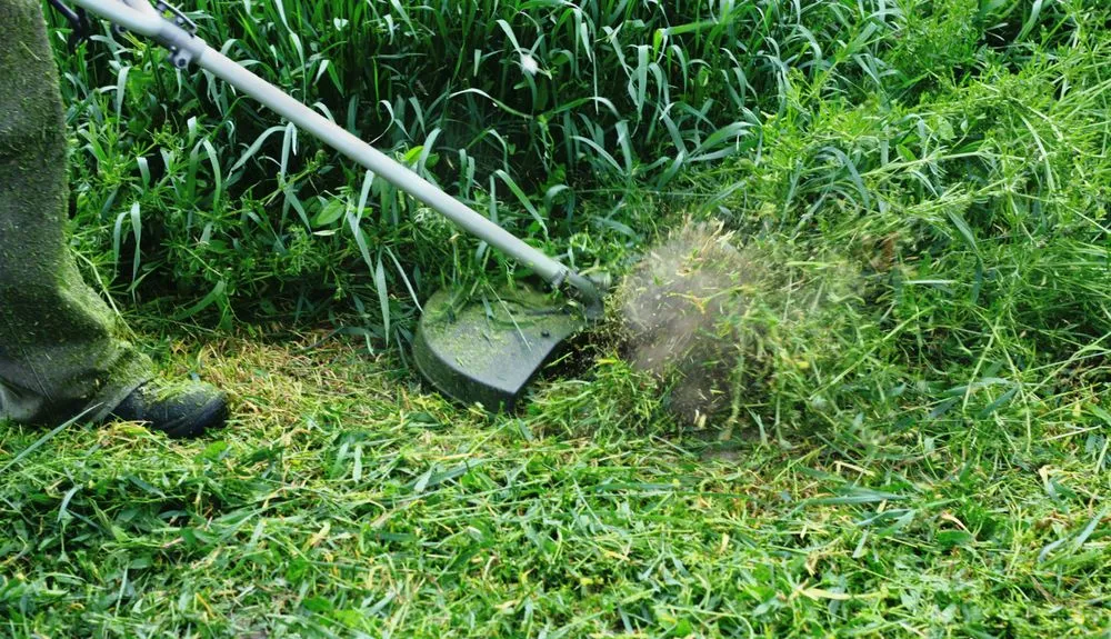 Professional yard maintenance with custom design across Navarre, FL - Yard Butler Landscaping