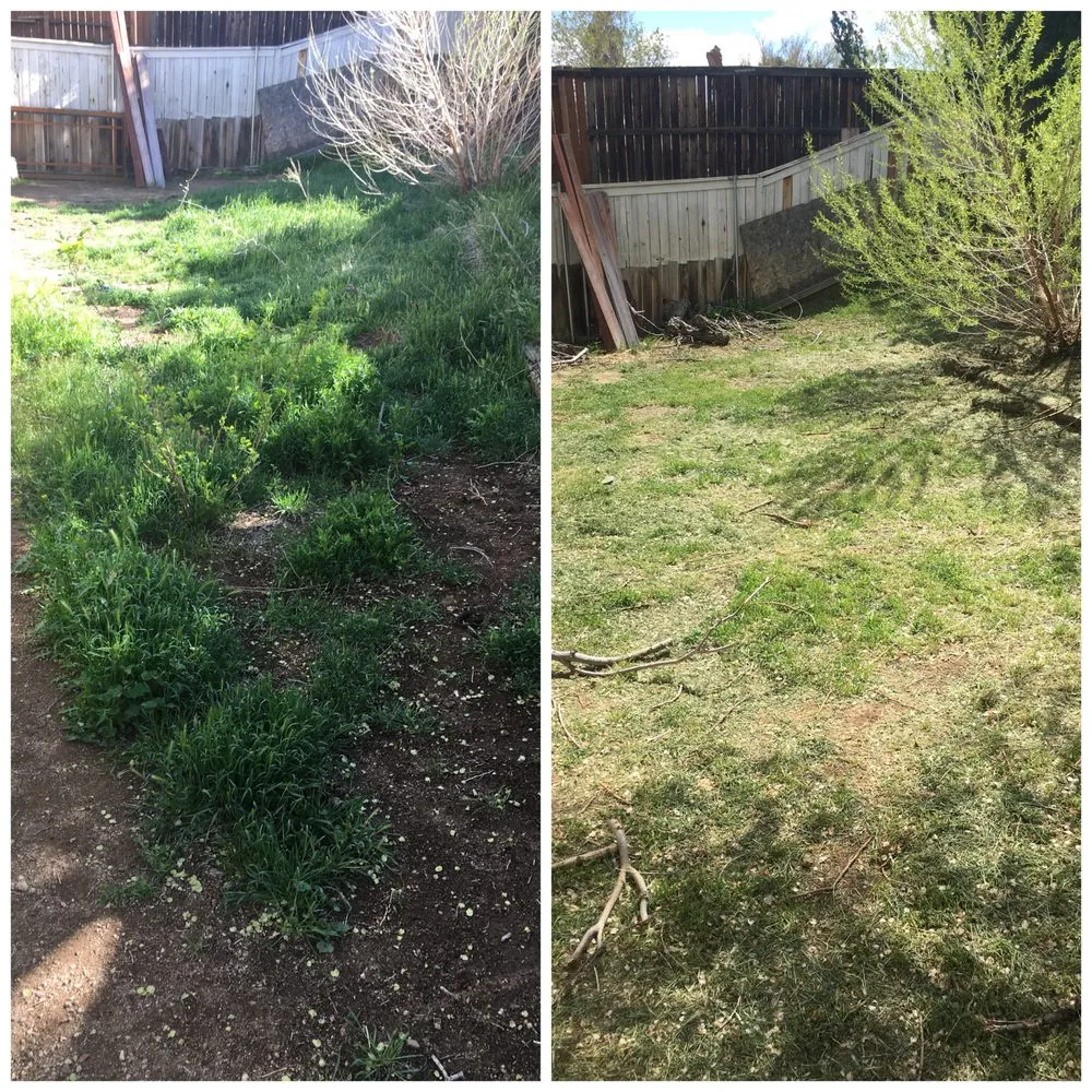 Reliable outdoor landscaping for outdoor upgrades across Palmdale, CA - Yard Butlers Av