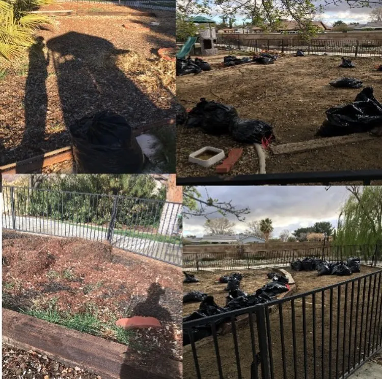 Expert landscape design in Palmdale, CA - Yard Butlers Av