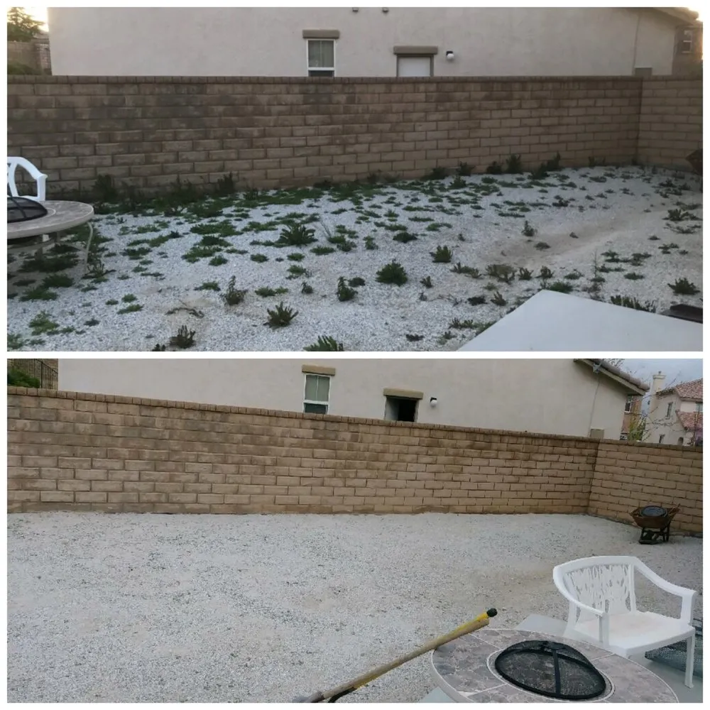 Affordable yard cleanup service for year-round maintenance across Palmdale, CA - Yard Butlers Av