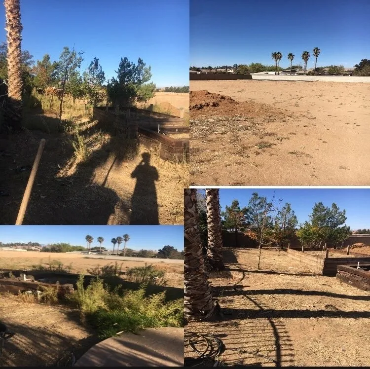 Trusted landscaping services in Palmdale, CA by Yard Butlers Av