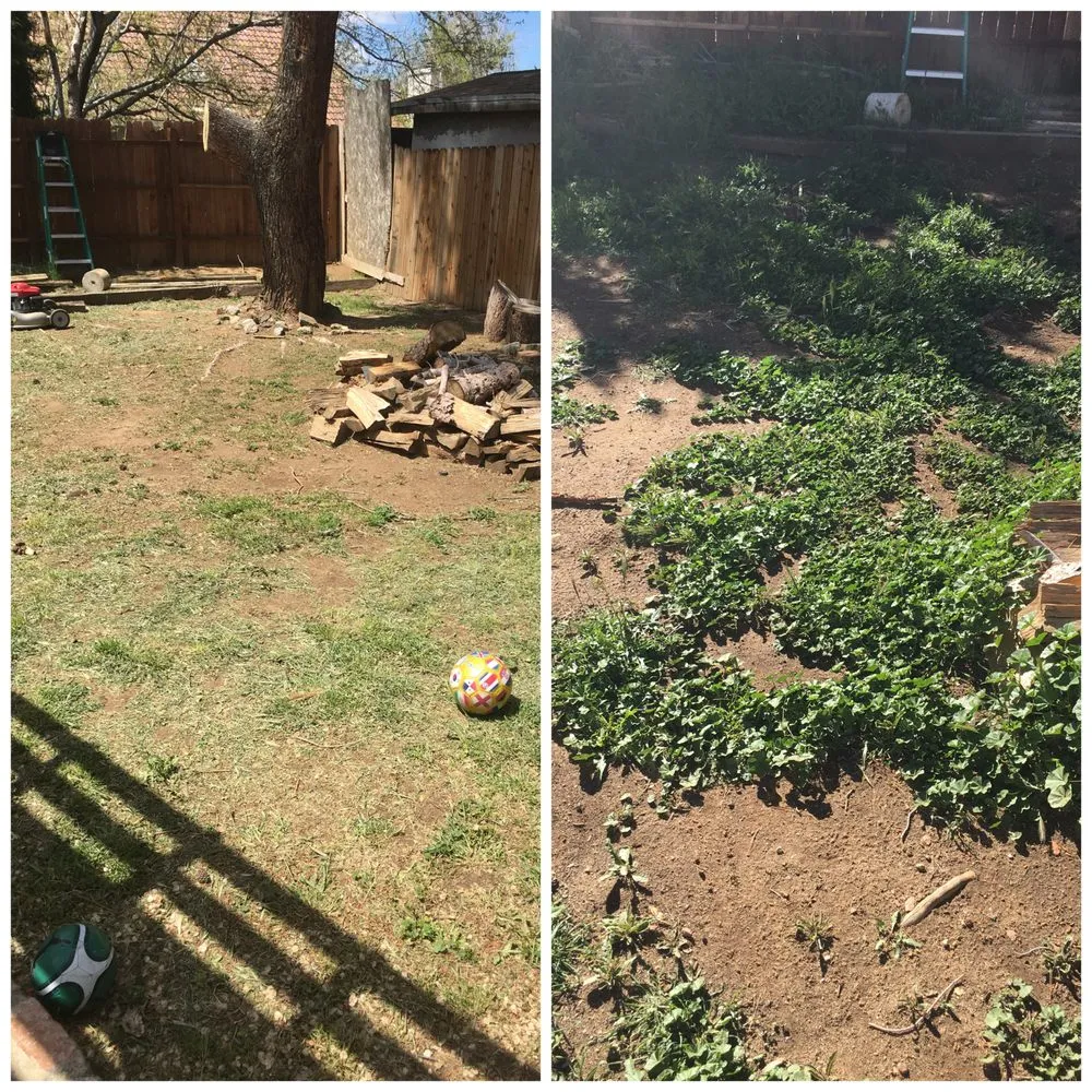 Top-rated landscape installation in Palmdale, CA - Yard Butlers Av