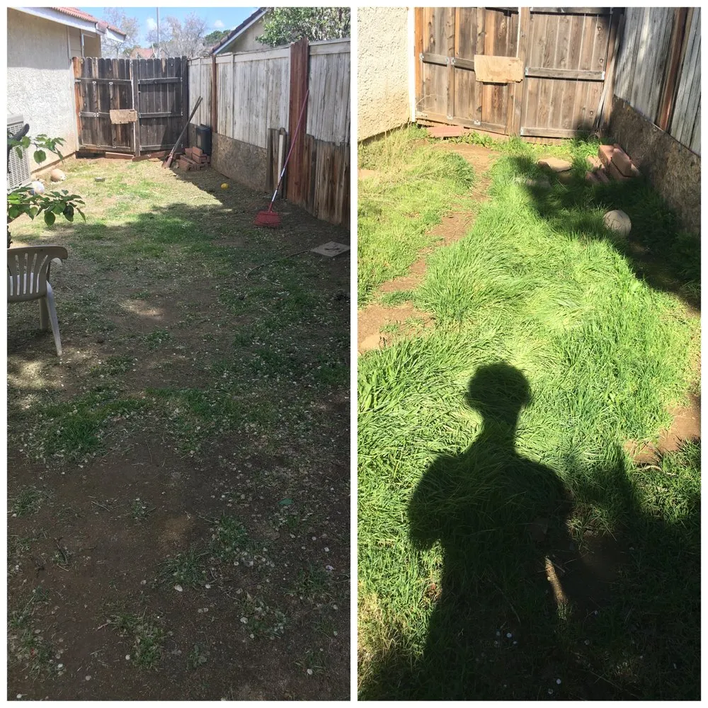 Custom landscape design for year-round maintenance in Palmdale, CA by Yard Butlers Av