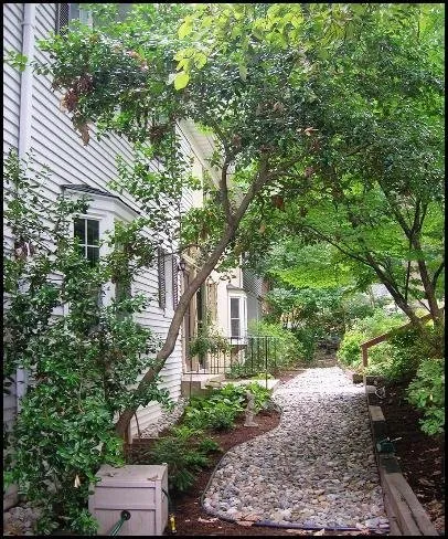 Reliable garden landscaping in Takoma Park, MD - Yard by Yard Makeovers