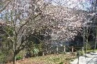 Expert lawn care service experts serving Takoma Park, MD - Yard by Yard Makeovers