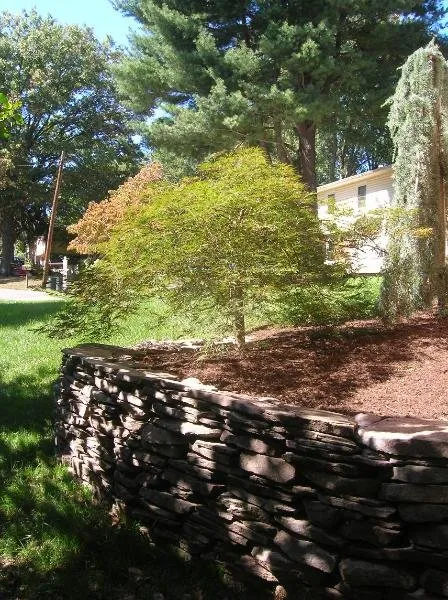 Reliable lawn care service near you across Takoma Park, MD - Yard by Yard Makeovers