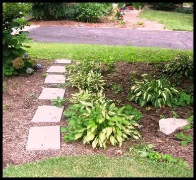 Custom yard cleanup service in Takoma Park, MD by Yard by Yard Makeovers