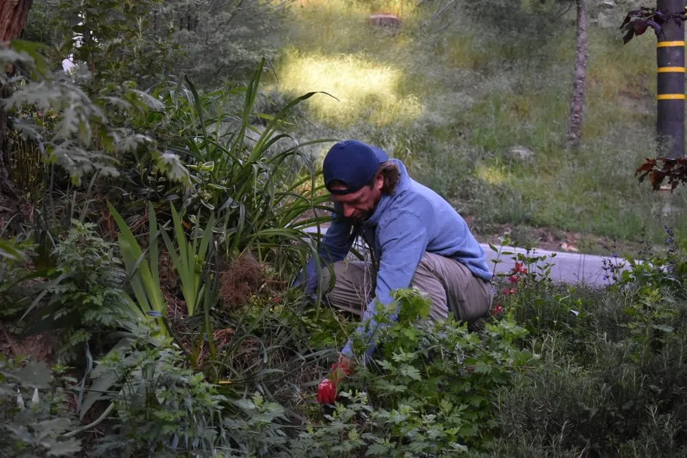 Local yard maintenance in Riverside, CA by Yard Care by Steve