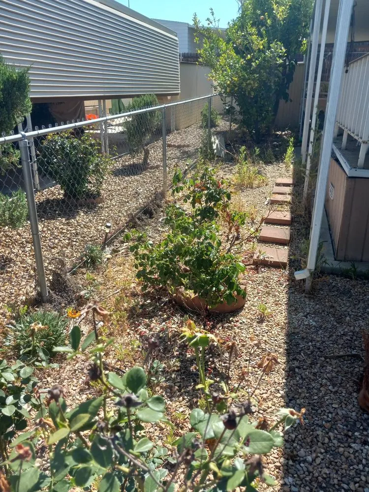 Reliable yard maintenance in Riverside, CA by Yard Care by Steve