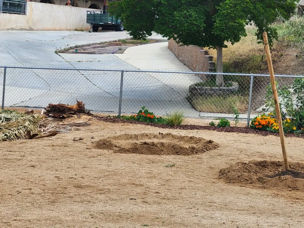 Professional lawn mowing service for outdoor upgrades in Riverside, CA by Yard Care by Steve