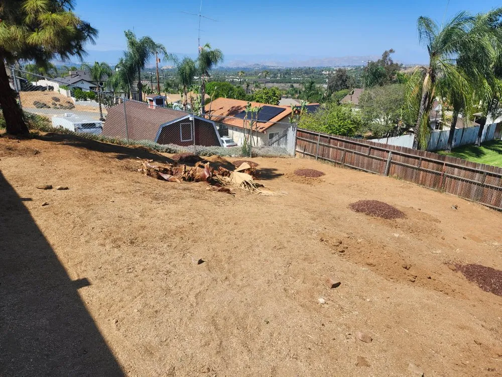 Reliable lawn care service in Riverside, CA by Yard Care by Steve