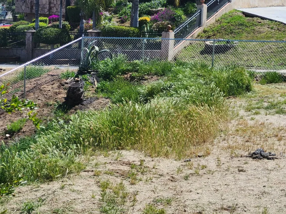 Expert lawn care service experts serving Riverside, CA - Yard Care by Steve