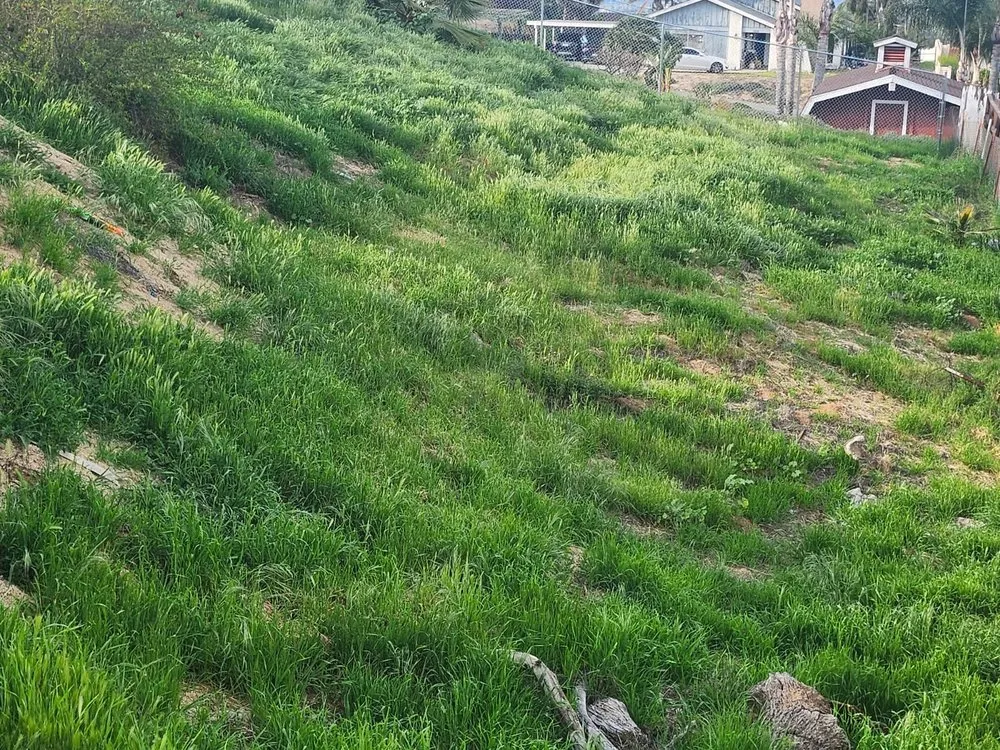 Trusted landscape installation with custom design in Riverside, CA by Yard Care by Steve