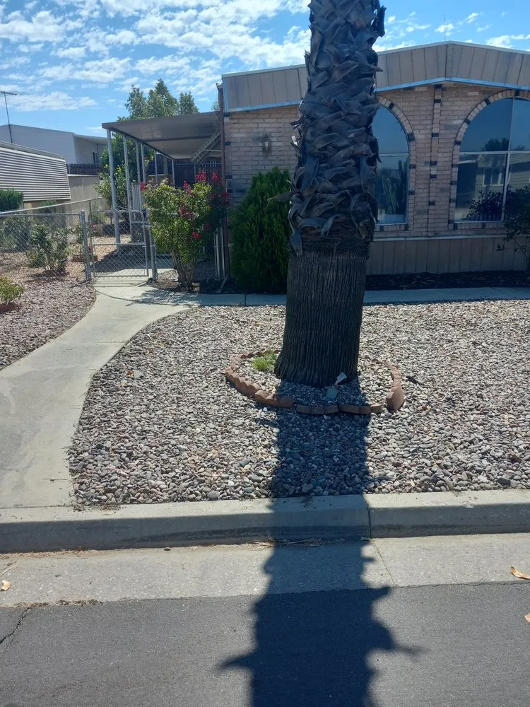Reliable outdoor landscaping for residential properties across Riverside, CA - Yard Care by Steve