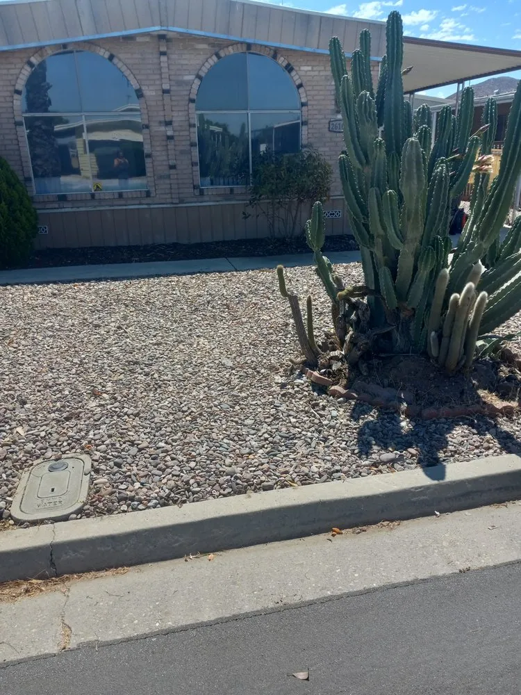 Trusted yard cleanup service for beautiful yards across Riverside, CA - Yard Care by Steve