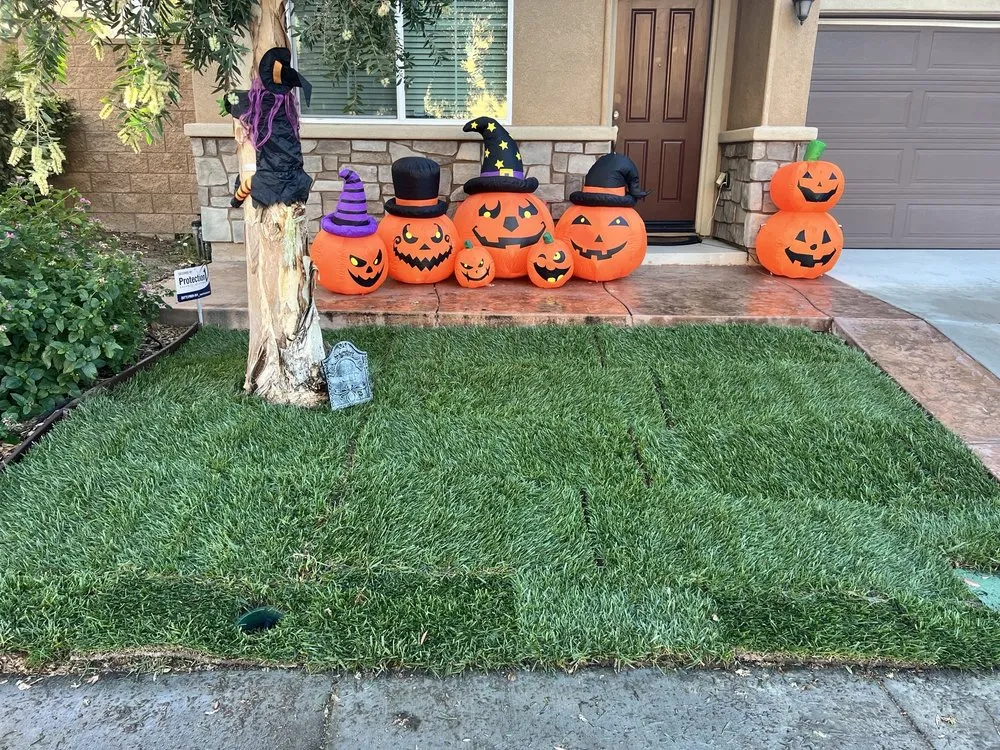 Custom landscape installation for outdoor upgrades in Riverside, CA by Yard Care by Steve