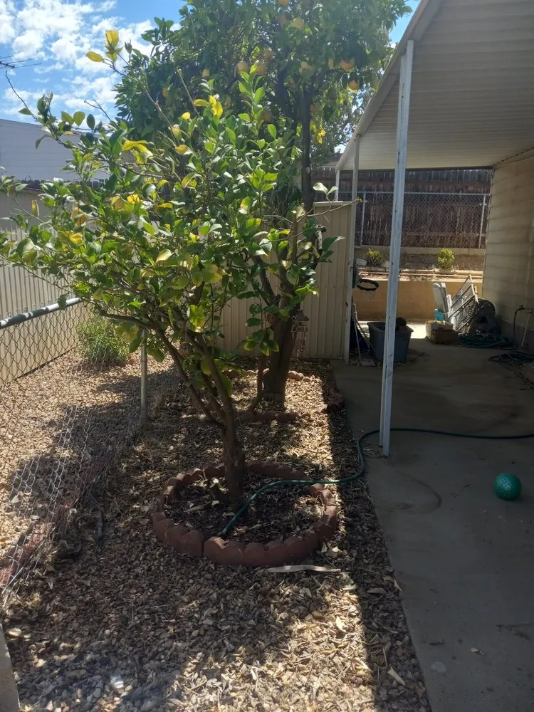 Top-rated landscape installation with custom design in Riverside, CA by Yard Care by Steve