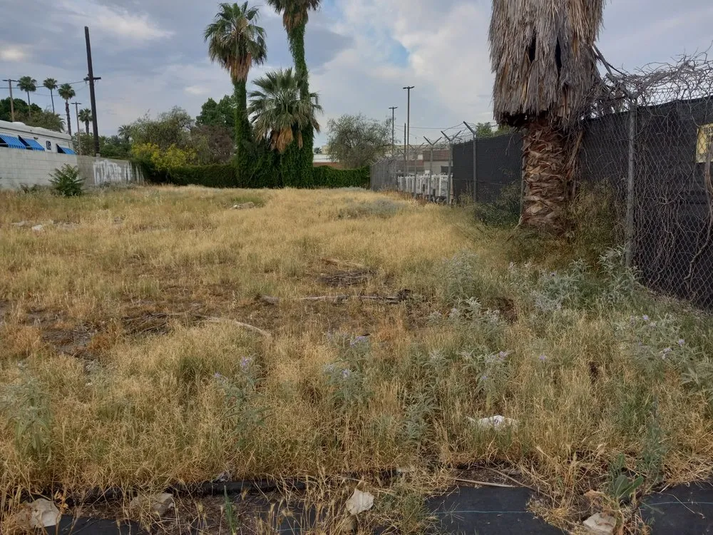 Custom yard maintenance in Riverside, CA by Yard Care by Steve