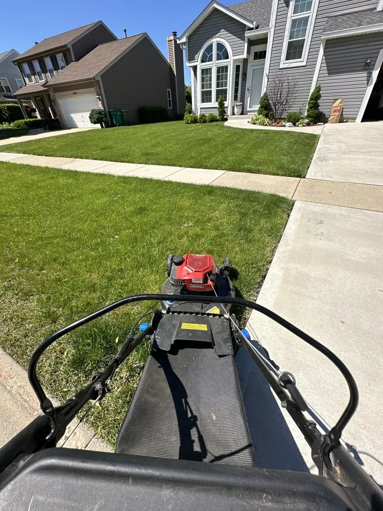 Professional yard cleanup service in Gurnee, IL by Yard care