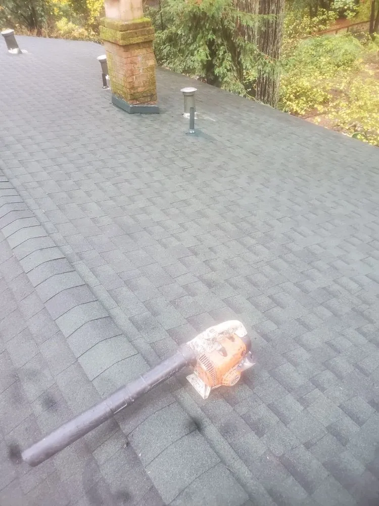 Reliable landscape installation with custom design across Guerneville, CA - Yard Care Plus