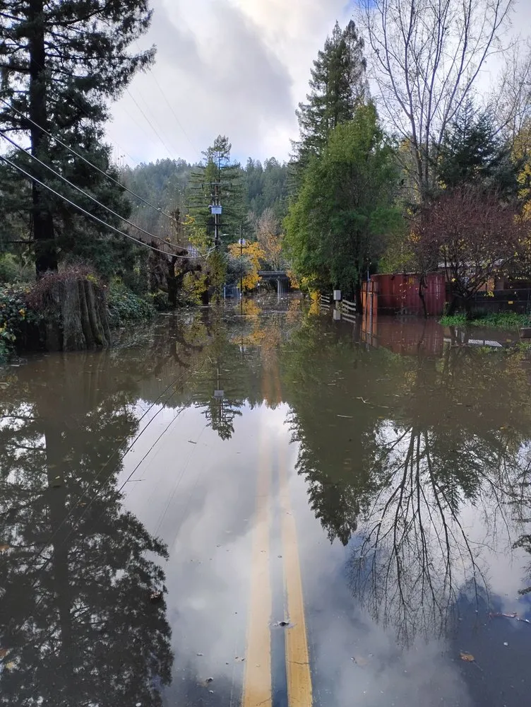 Affordable lawn care service for outdoor upgrades in Guerneville, CA by Yard Care Plus