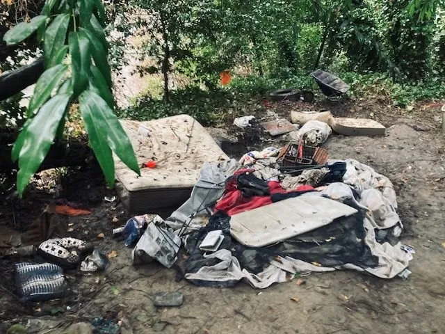 Trusted lawn care service in Guerneville, CA by Yard Care Plus