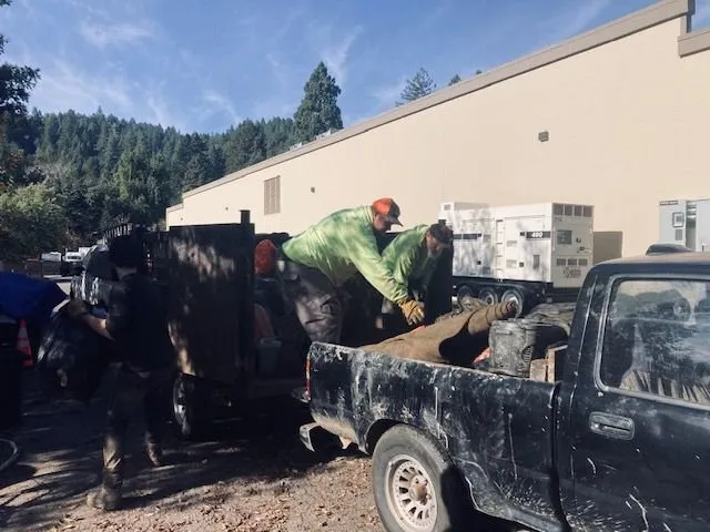 Top-rated yard cleanup service in Guerneville, CA by Yard Care Plus