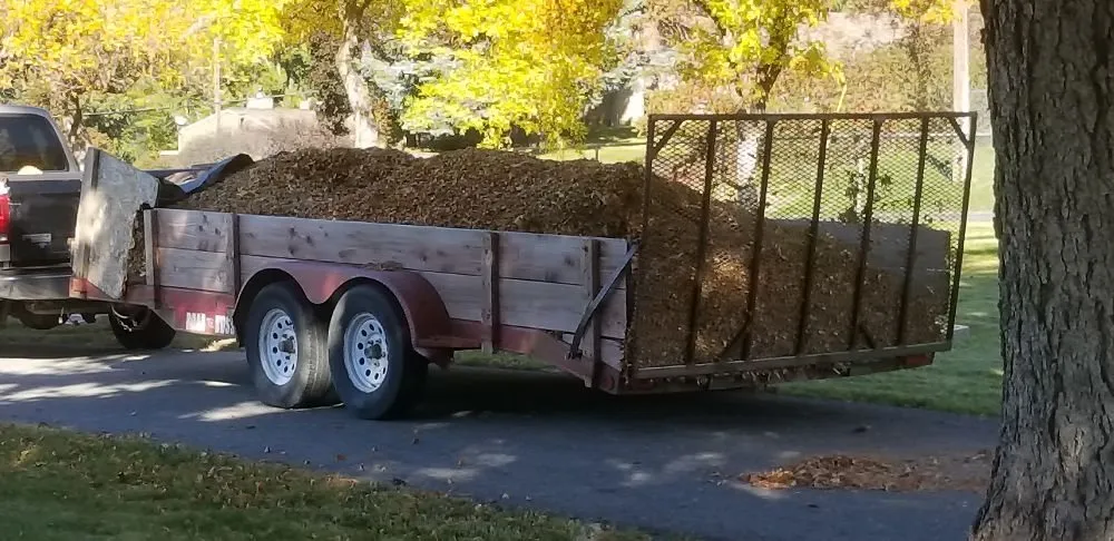 Professional lawn care service for year-round maintenance across Logan, UT - Yard Care Services