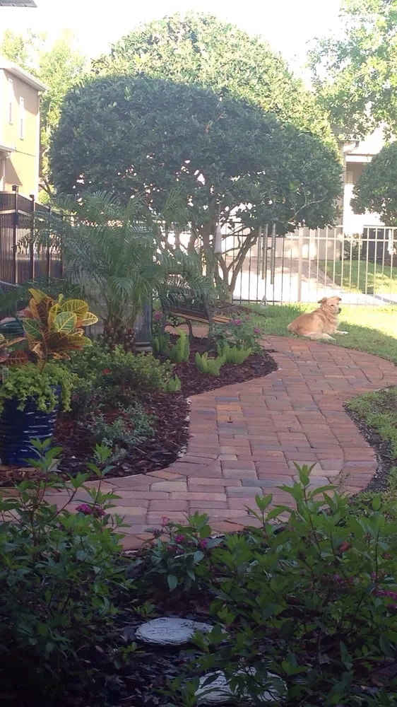 Reliable landscape design in Orlando, FL by Yard Charlie Landscape & Design LLC