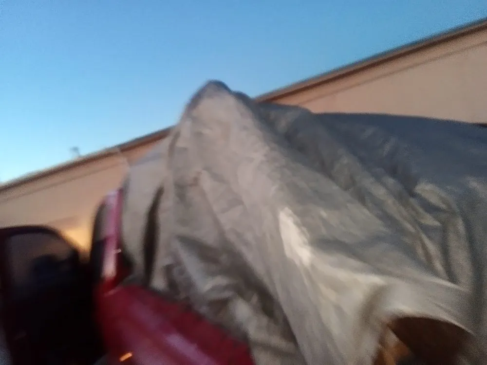 Expert landscaping services in Las Vegas, NM - yard cleaning hauling loading & dumping