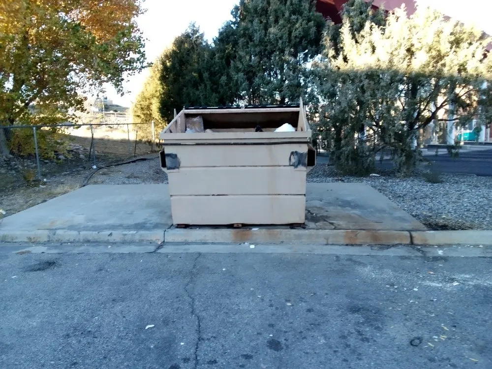 Local yard cleanup service in Las Vegas, NM by yard cleaning hauling loading & dumping