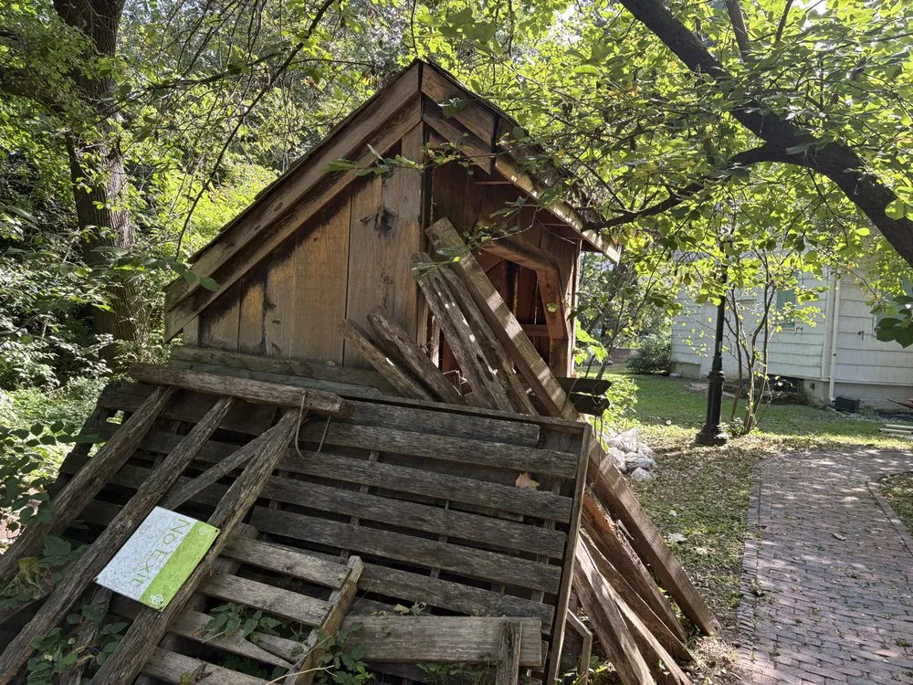 Reliable yard cleanup service in Middletown, NY - Yard Cleaning