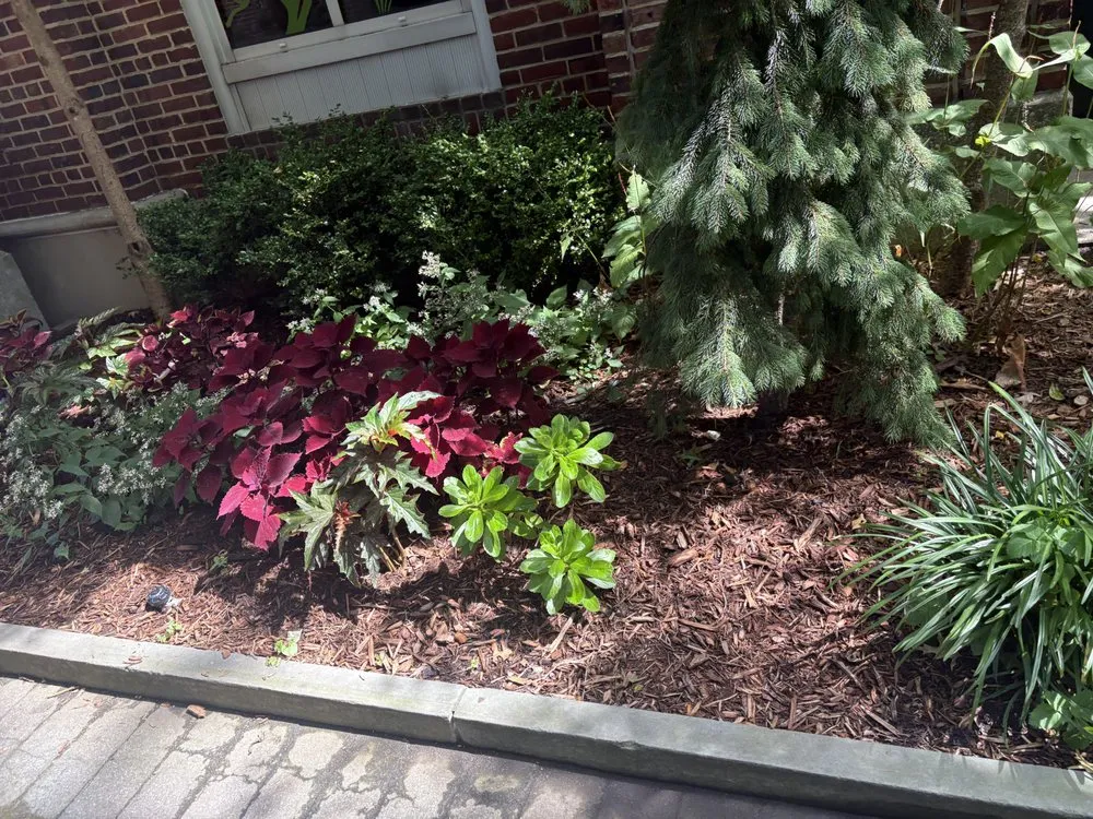 Custom lawn mowing service experts serving Middletown, NY - Yard Cleaning