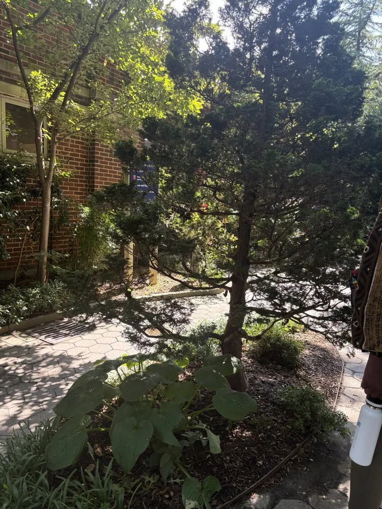 Top-rated yard maintenance for outdoor upgrades across Middletown, NY - Yard Cleaning