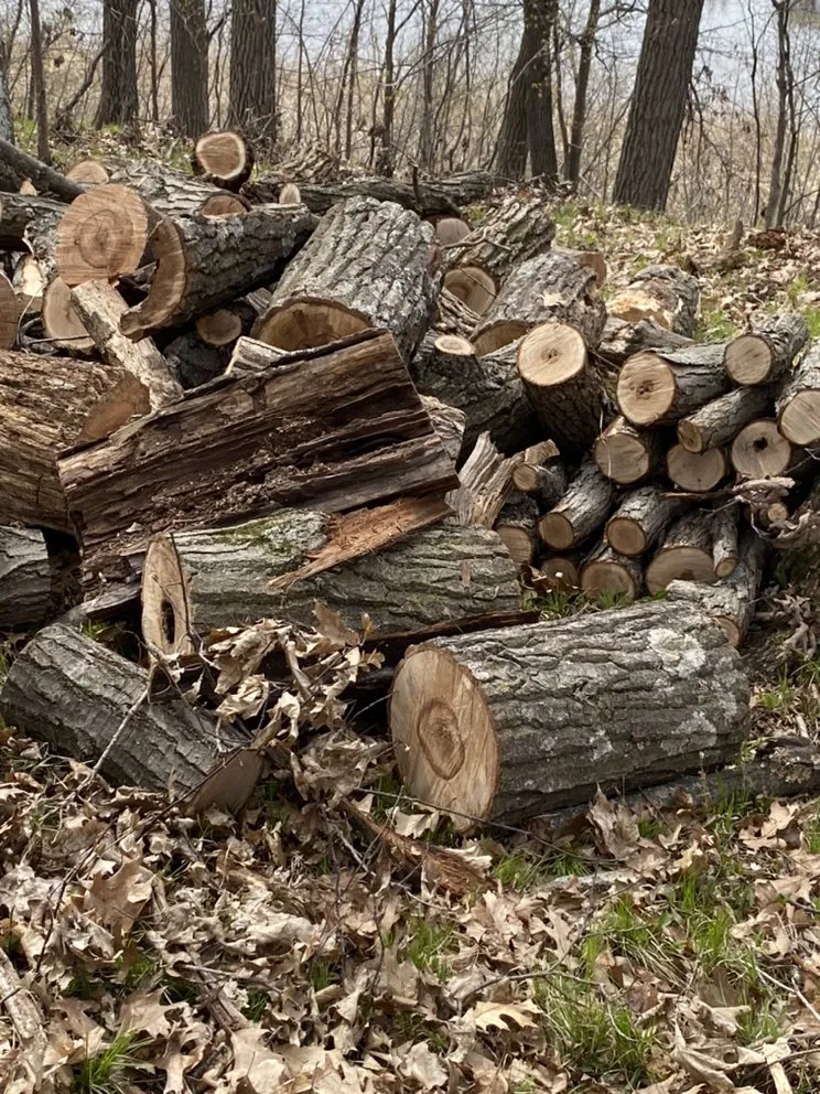 Professional outdoor landscaping in Turtle Lake, WI - Yard Cleanup