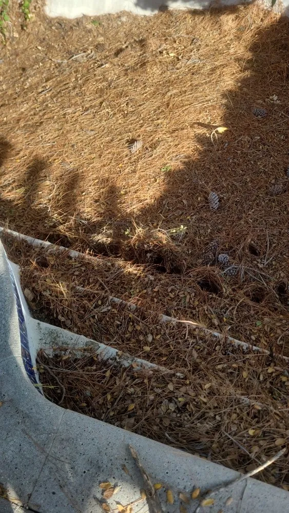 Custom landscape installation for year-round maintenance in Simi Valley, CA by Yard Craft Landscaping