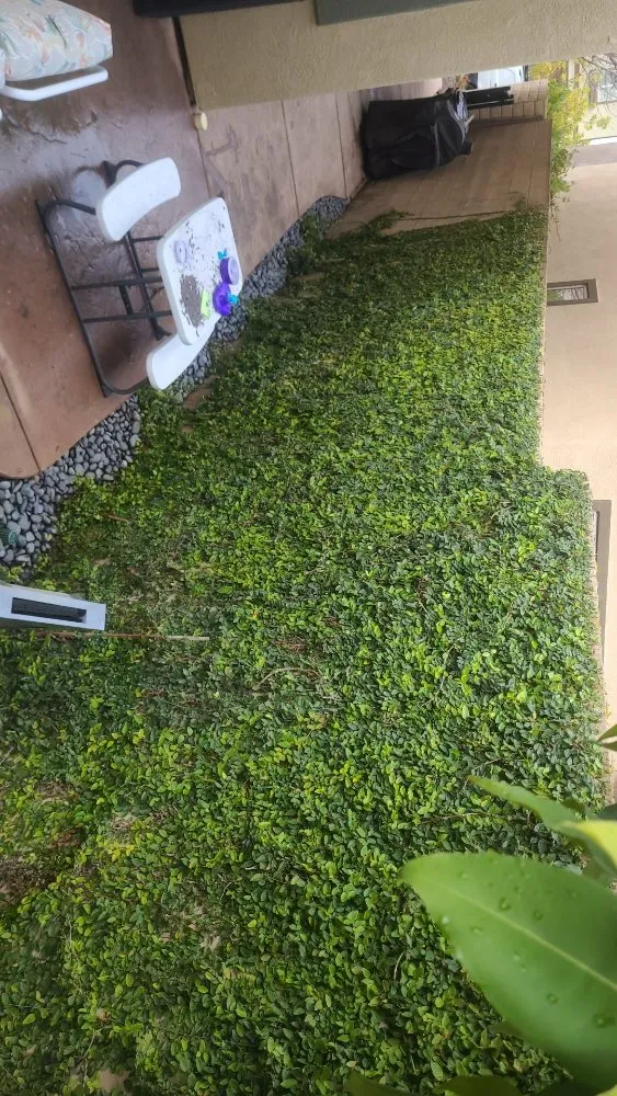 Expert landscape design in Simi Valley, CA - Yard Craft Landscaping