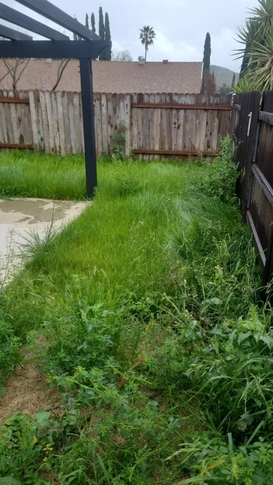 Local yard cleanup service in Simi Valley, CA - Yard Craft Landscaping