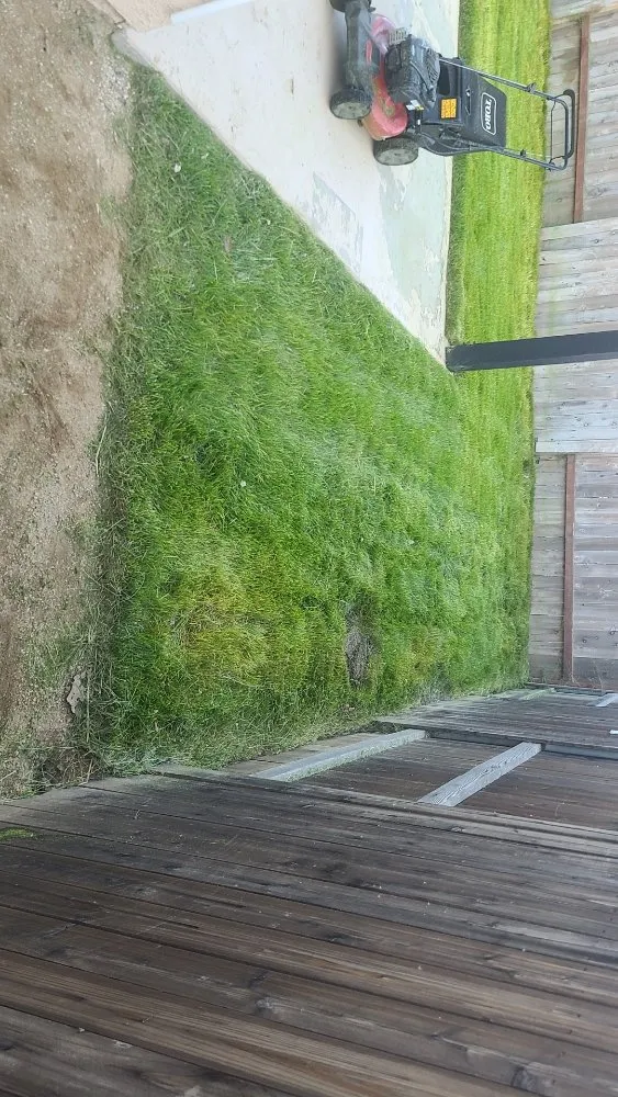 Trusted yard cleanup service in Simi Valley, CA by Yard Craft Landscaping