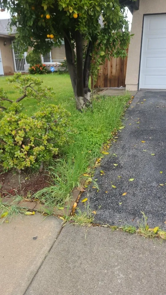 Professional landscape design for year-round maintenance across Simi Valley, CA - Yard Craft Landscaping