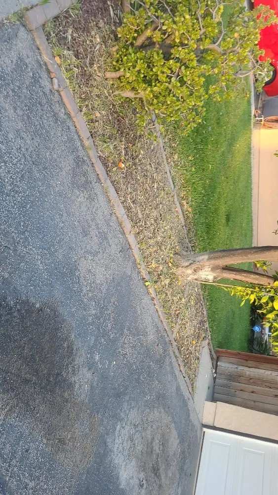 Custom lawn mowing service in Simi Valley, CA - Yard Craft Landscaping