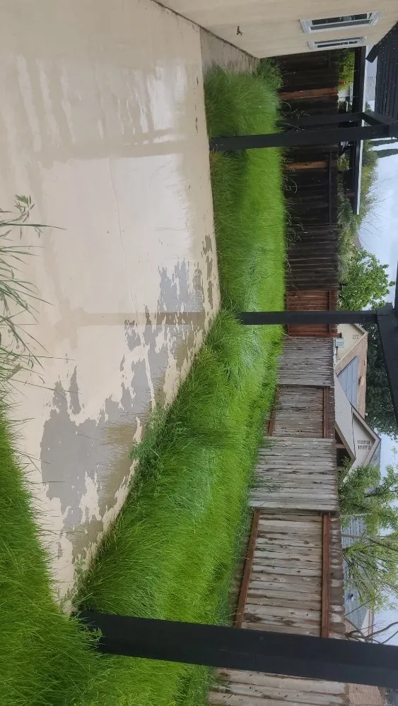 Affordable lawn care service experts serving Simi Valley, CA - Yard Craft Landscaping